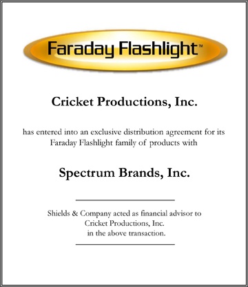 Faraday Flashlight